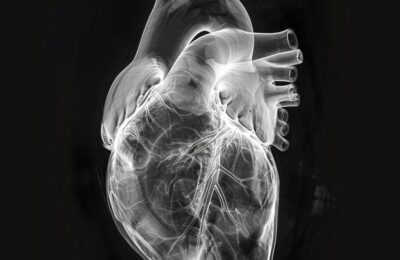 IRM et Scanner : Comparaison des techniques d&rsquo;imagerie
