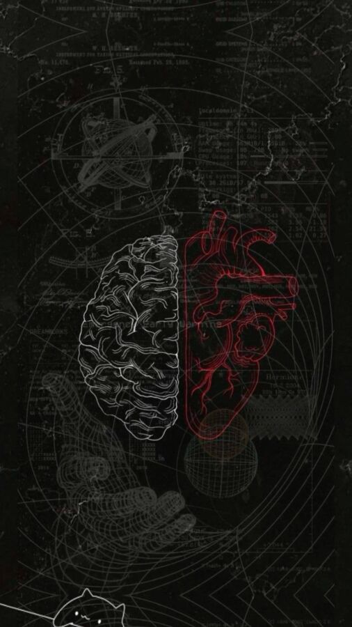 Distinction IRM et scanner