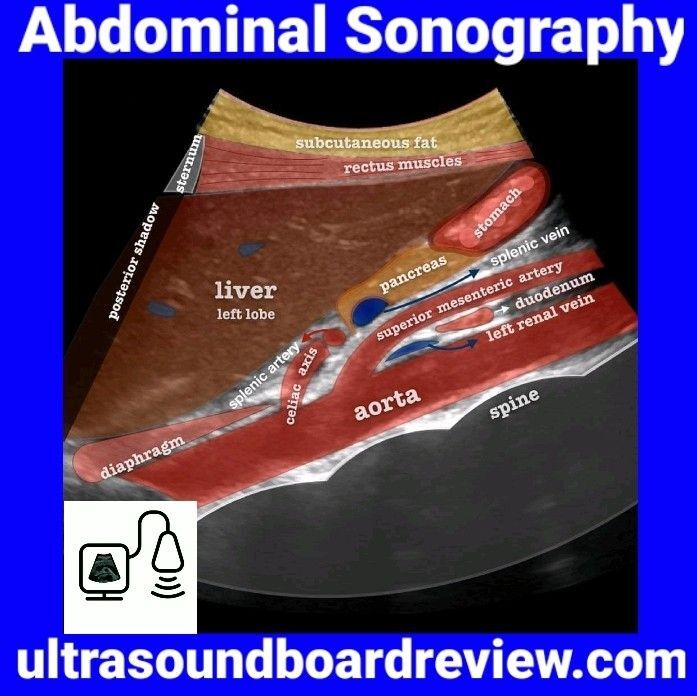 Conseils pour échographie abdominale